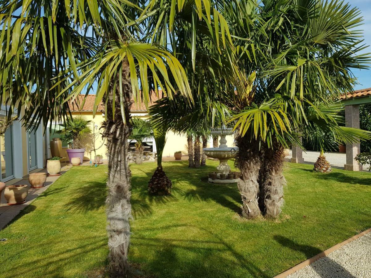 19 Rue Du Cadran Daire Montmorillon Dış mekan fotoğraf